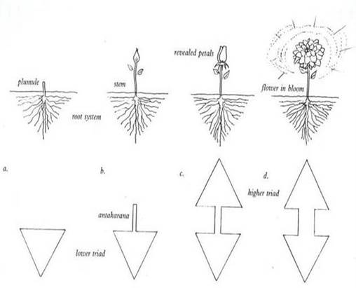 Description: Description: D:\Dropbox\Meditation_Baker\Meditation 1_files\image001.jpg